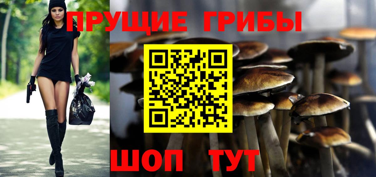 МЕФ Волхов