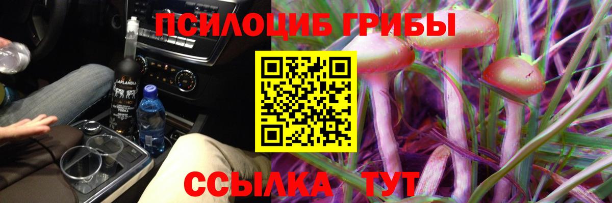 Псилоцибиновые грибы прущие грибы Волхов