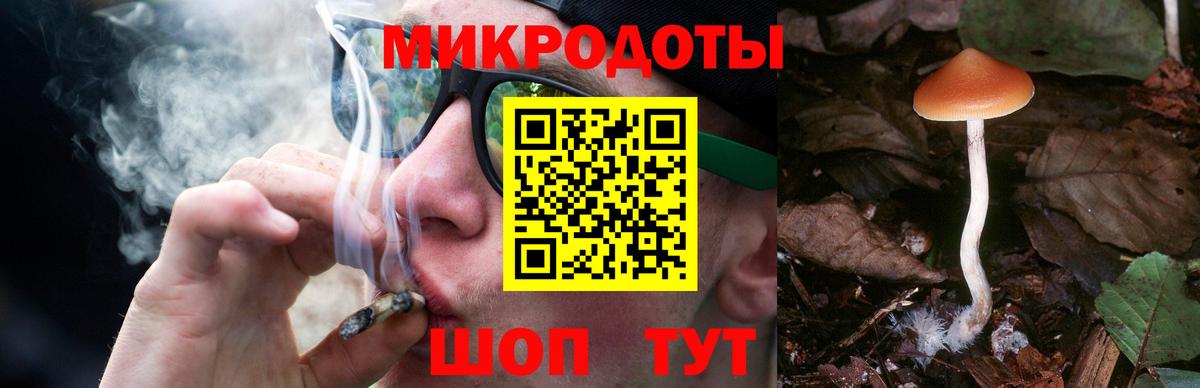 Галлюциногенные грибы Psilocybe  Вход с VPN  Волхов 